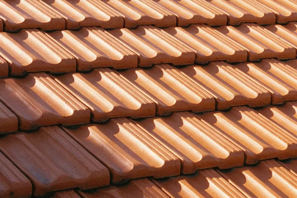Illustration of terracotta roof tiles